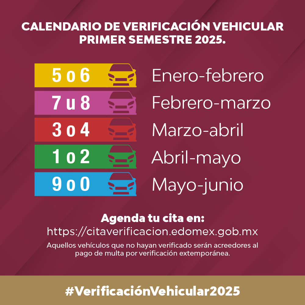 verificación vehicular