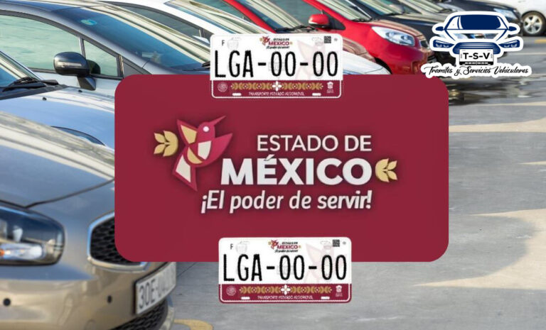 alta y baja de placas